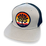 Joshua Tree National Park + New Era 9FIFTY Cap