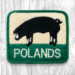 POLANDS. Authentic Vintage Patch