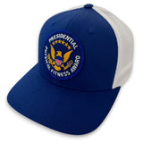 Presidential Physical Fitness Award Vintage Patch + Flexfit 6511 Cap